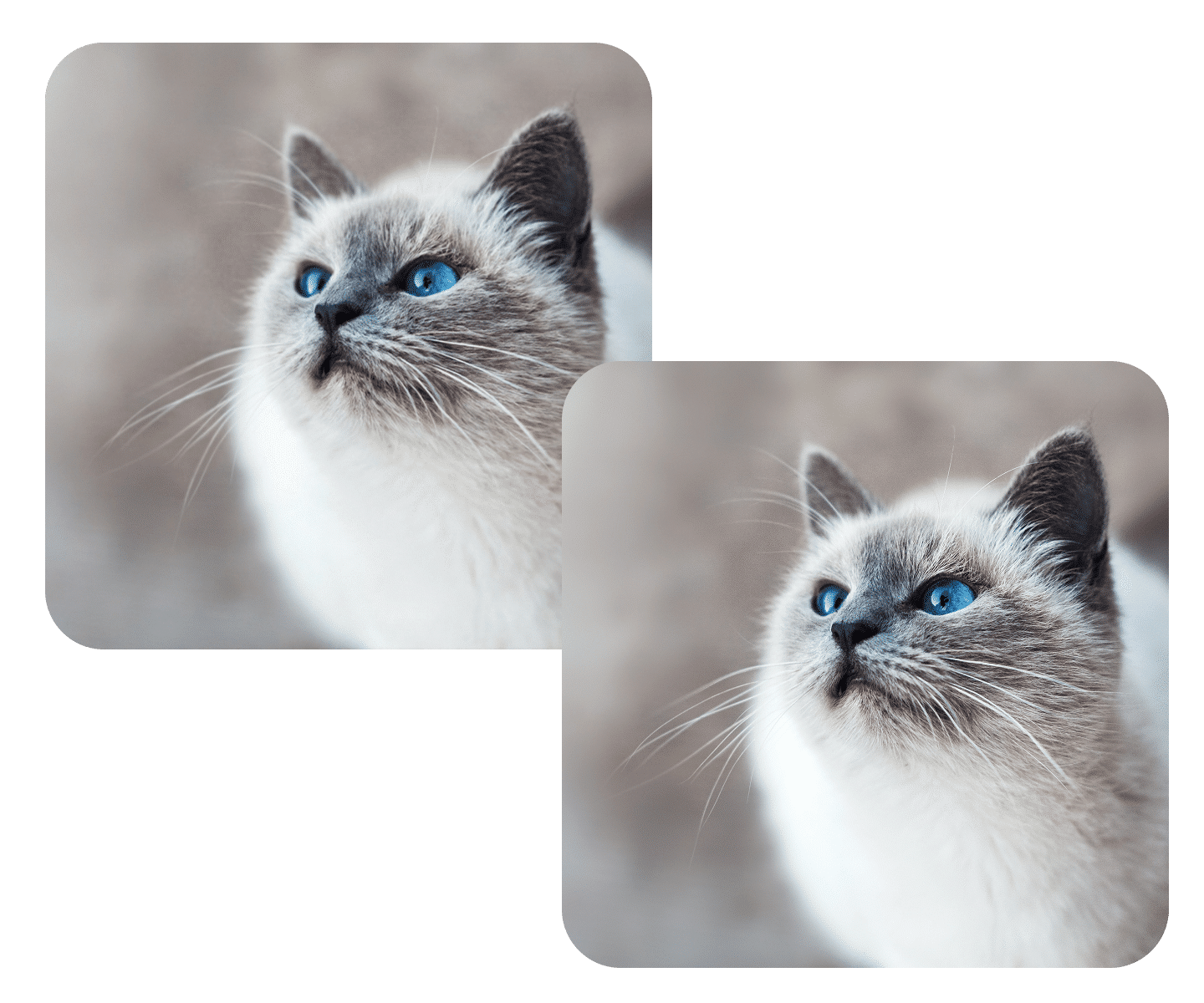 Где использовать AI-upscaled images?