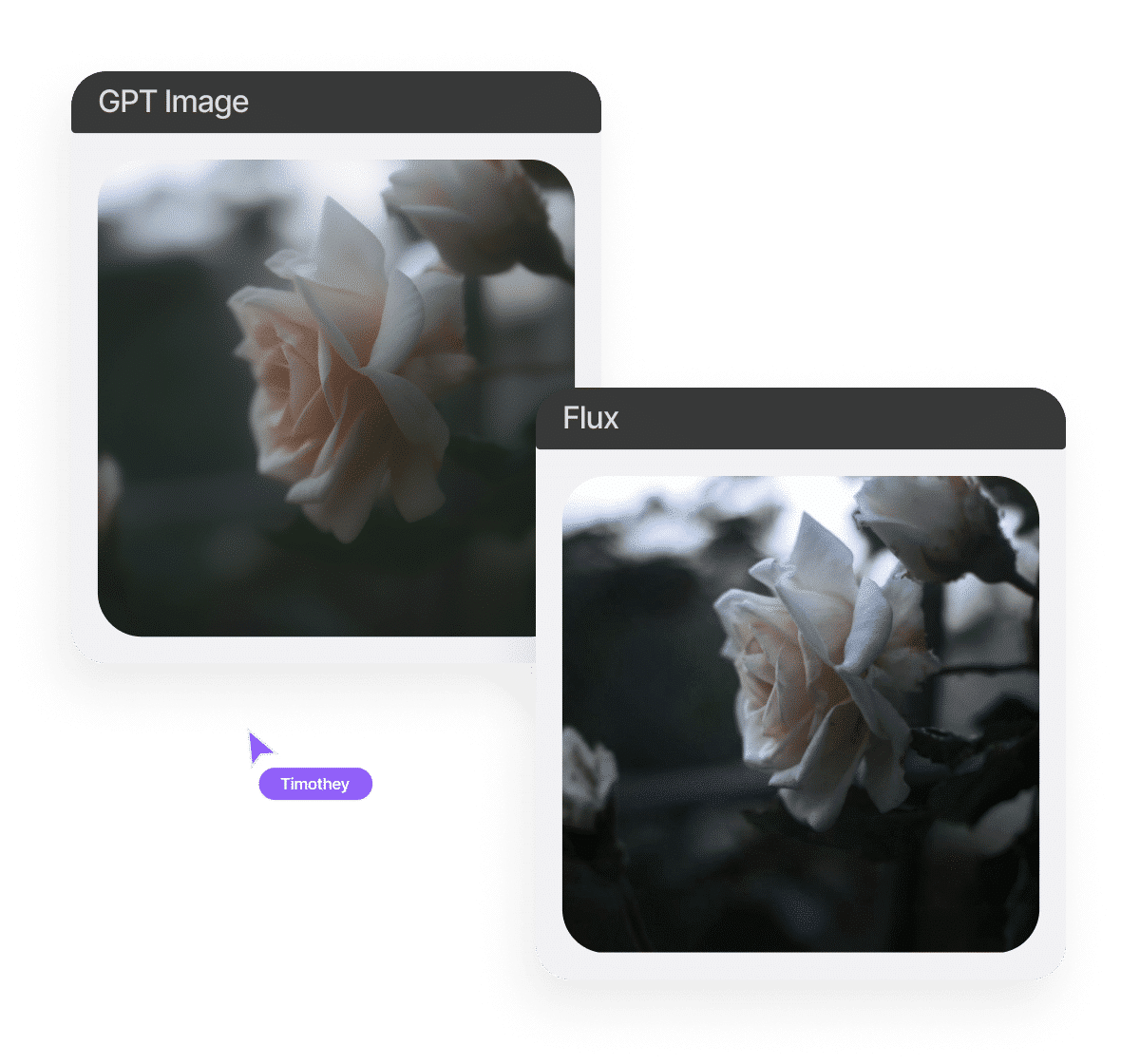 Preview and edit