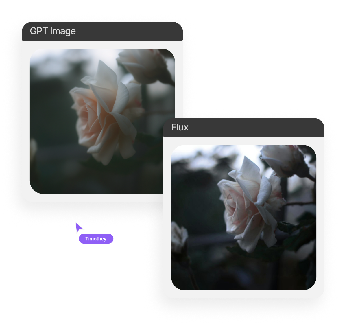 Preview and edit