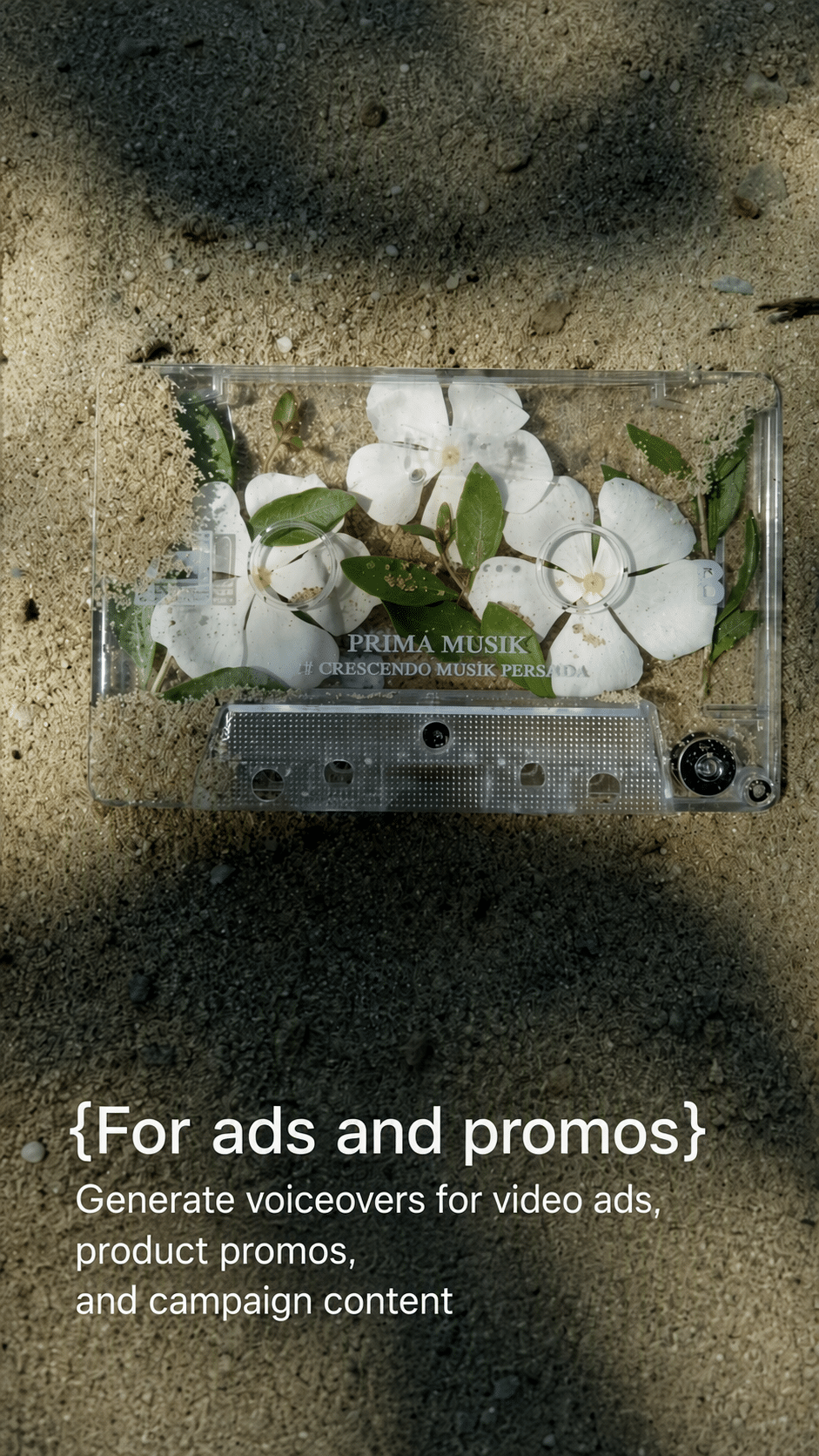 voicemodel6