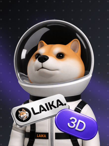 Кейс Laika: от 2D-изображения до запуска в космос